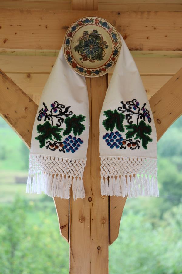 Casa Ralucai 호텔 모이세이 외부 사진